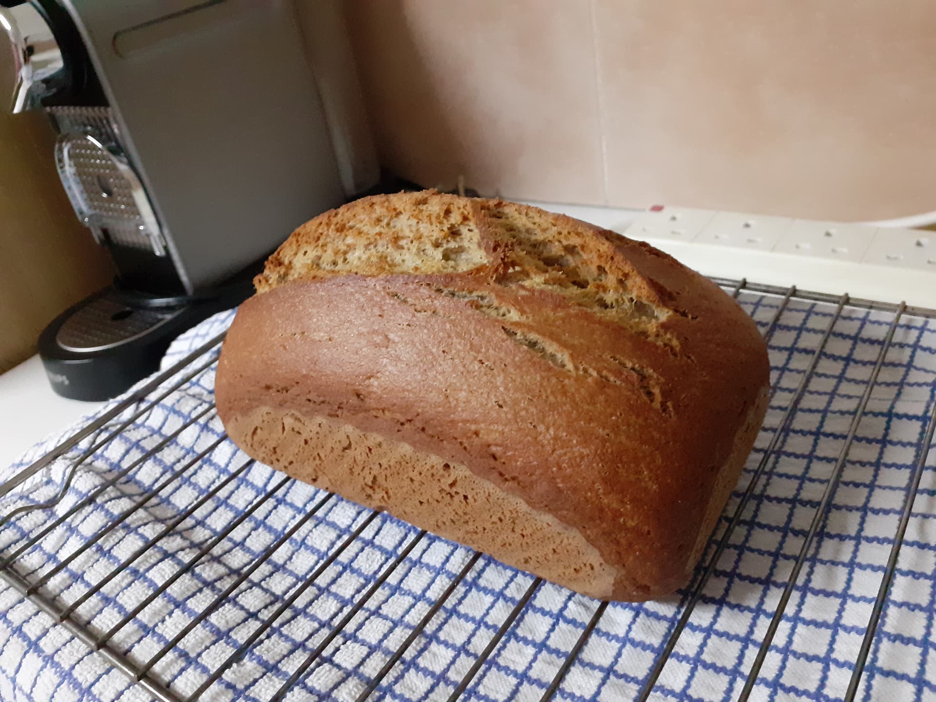Buckwheat Sourdough The Fresh Loaf